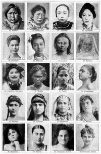 Menschenrassen. II. 21. Eskimo. 22. Samojedin. 23. Chinesin. 24. Japanerin. 25. Siamesin. 26. Birmanin. 27. Lappin. 28. Tatarin. 29. Ainufrau, tätowiert. 30. Wedda. 31. Tamil. 32. Singhalesin. 33. Perserin. 34. Araberin. 35. Ägypterin. 36. Maurin. 37. Romanin. 38. Slawin. 39. Germanin, dunkel. 40. Germanin, blond.